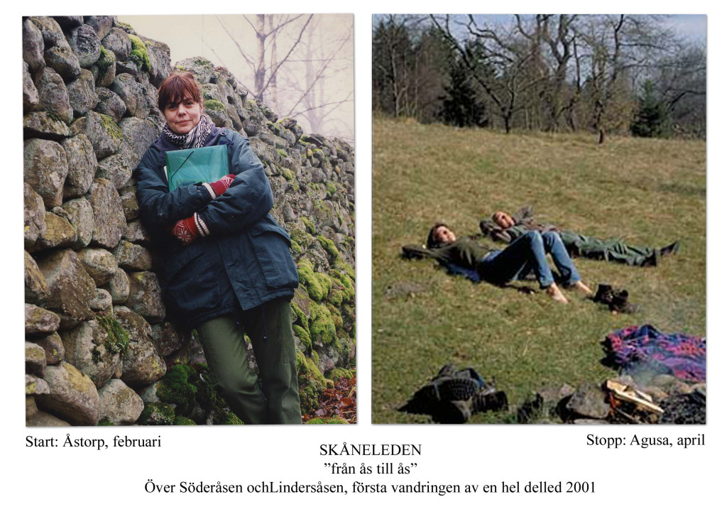 Vandring delled ÅÅ 2001