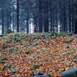 600 003 CL stora rör s