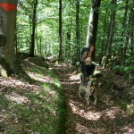 IMG_4971 s AL