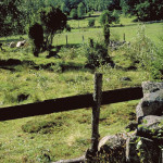 600160_02 Ebbjörnarp