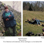 Vandring delled ÅÅ 2001